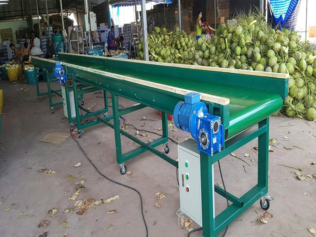 สายพานลำเลียง