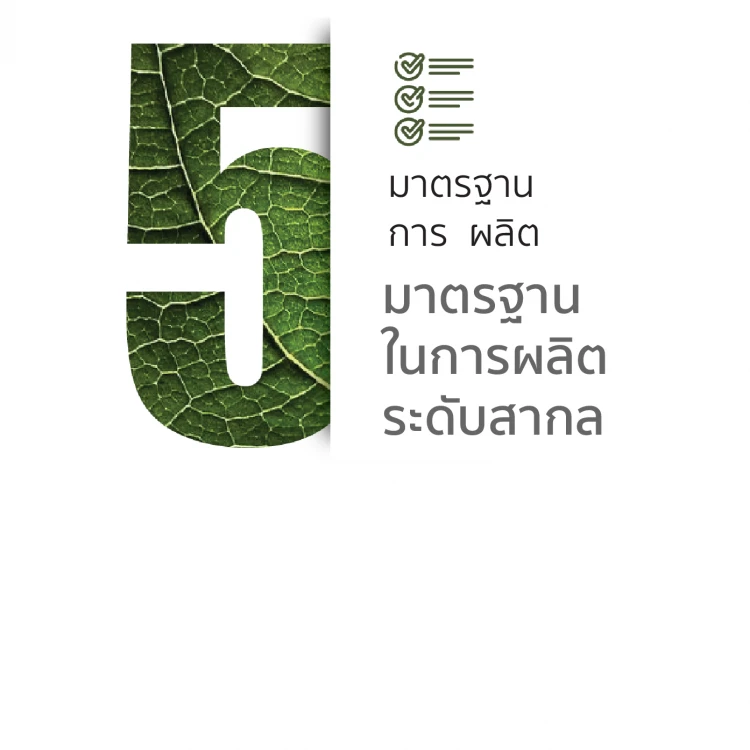 บริษัท เดอะ เนเชอรัลลิสท์ จำกัด