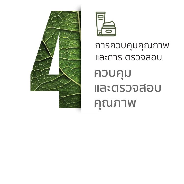 บริษัท เดอะ เนเชอรัลลิสท์ จำกัด