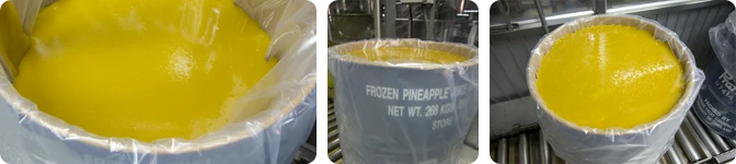 บริษัท ผลไม้กระป๋องประจวบ จำกัด