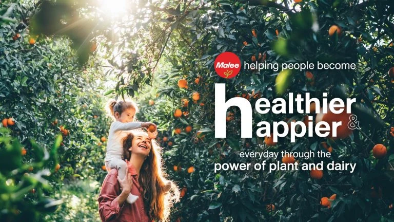 บริษัท มาลีกรุ๊ป จำกัด (มหาชน)