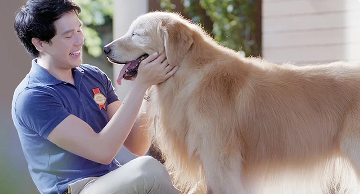 บริษัท เพอร์เฟค คอมพาเนียน กรุ๊ป จำกัด