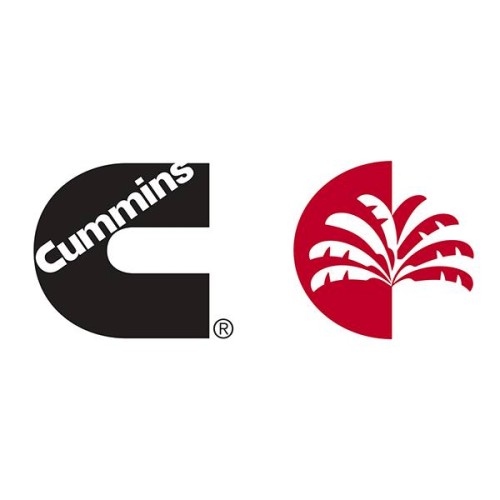 บริษัท คัมมิ่นส์ ดีเคเอสเอช (ประเทศไทย) จำกัด - Company Logo