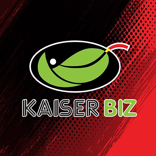 บริษัท ไคเซอร์ บิซ จำกัด - Company Logo