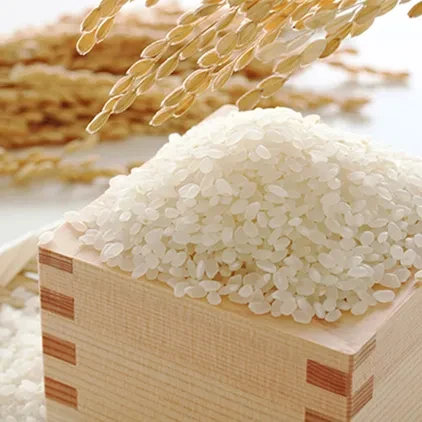 บริษัท เอฟบี ฟู้ด เซอร์วิส (2017) จำกัด