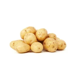 บริษัท เอฟบี ฟู้ด เซอร์วิส (2017) จำกัด