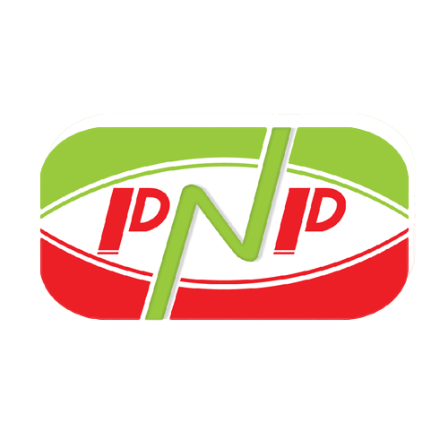 บริษัท พีเอ็นพี สเกล แอนด์ อินสตรูเมนท์ จำกัด - Company Logo