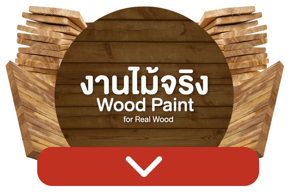 ห้างหุ้นส่วนจำกัด ไทพิพัฒน์ค้าวัสดุภัณฑ์