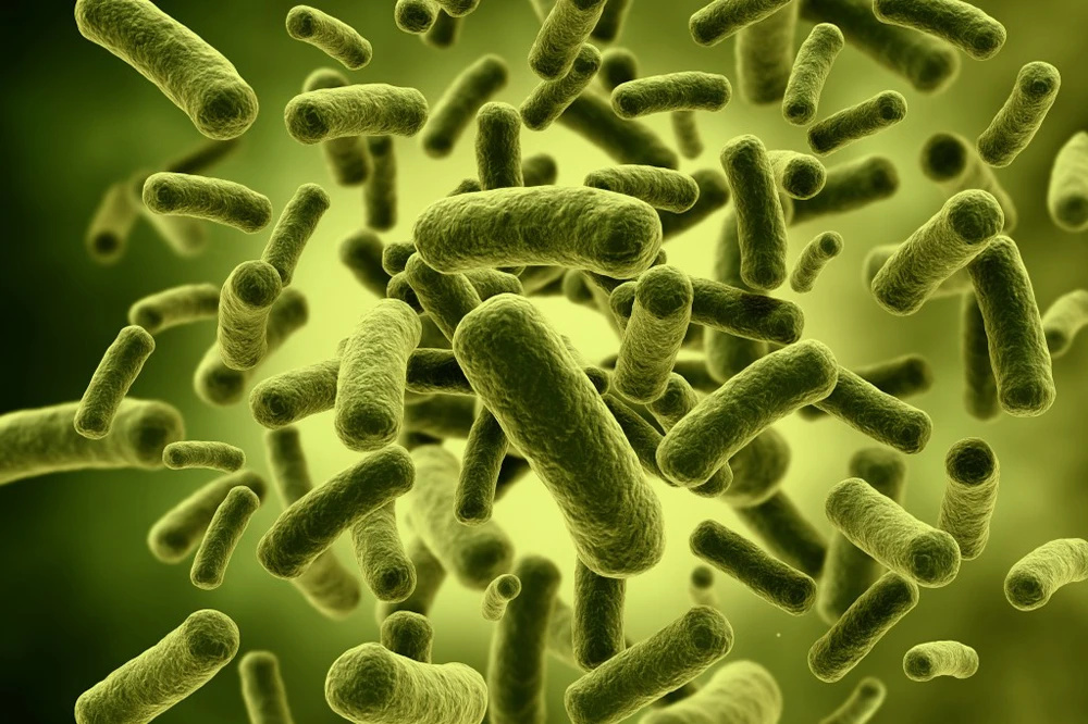 บริษัท สหกันยง จำกัด