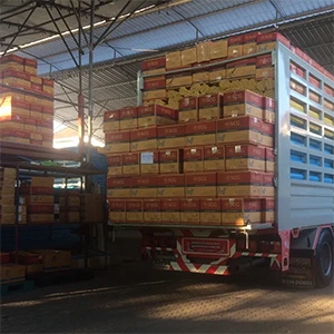 บริษัท ป.กวิน จำกัด