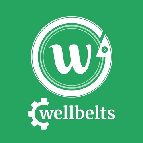 บริษัท เวลเบลท์ส จำกัด - Company Logo