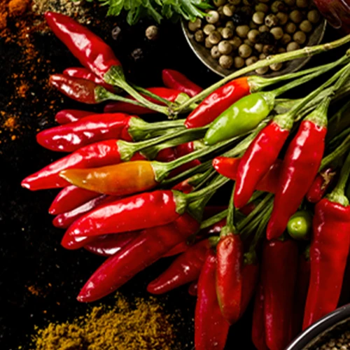 บริษัท เอส.แอนด์ เจ โปรดักท์ จำกัด