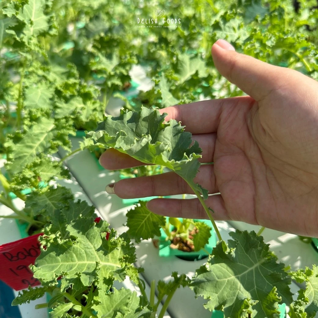 Delish Thai Food food