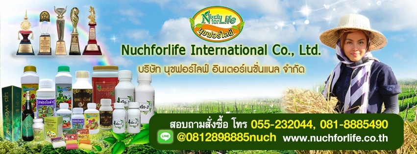 บริษัท นุชฟอร์ไลฟ์ อินเตอร์เนชั่นแนล จำกัด