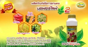 บริษัท นุชฟอร์ไลฟ์ อินเตอร์เนชั่นแนล จำกัด