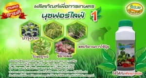 บริษัท นุชฟอร์ไลฟ์ อินเตอร์เนชั่นแนล จำกัด