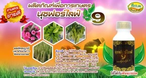 บริษัท นุชฟอร์ไลฟ์ อินเตอร์เนชั่นแนล จำกัด