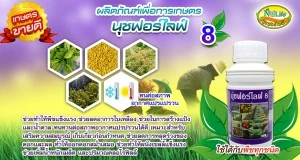 บริษัท นุชฟอร์ไลฟ์ อินเตอร์เนชั่นแนล จำกัด