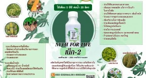 บริษัท นุชฟอร์ไลฟ์ อินเตอร์เนชั่นแนล จำกัด