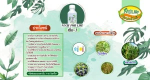 บริษัท นุชฟอร์ไลฟ์ อินเตอร์เนชั่นแนล จำกัด