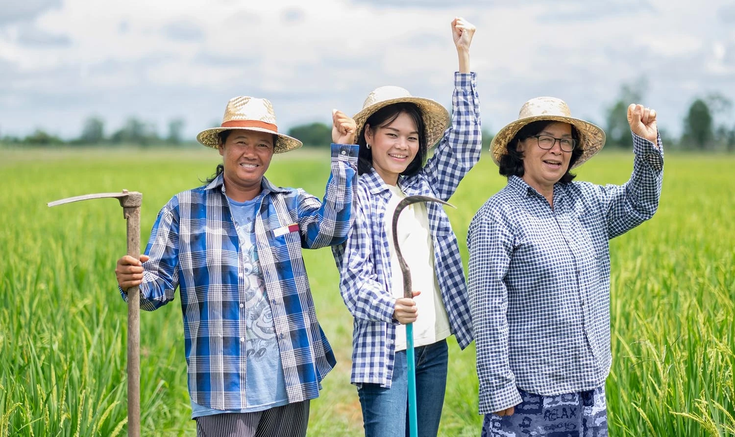 บริษัท โฮม ไพร์ด อินเตอร์เนชั่นแนล (ไทยแลนด์) จำกัด