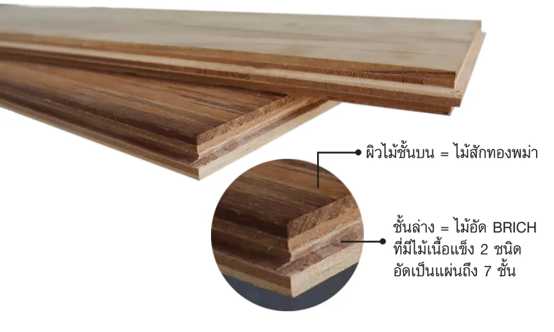 บริษัท ซันเดย์เวิลด์ เทรดดิ้ง จำกัด