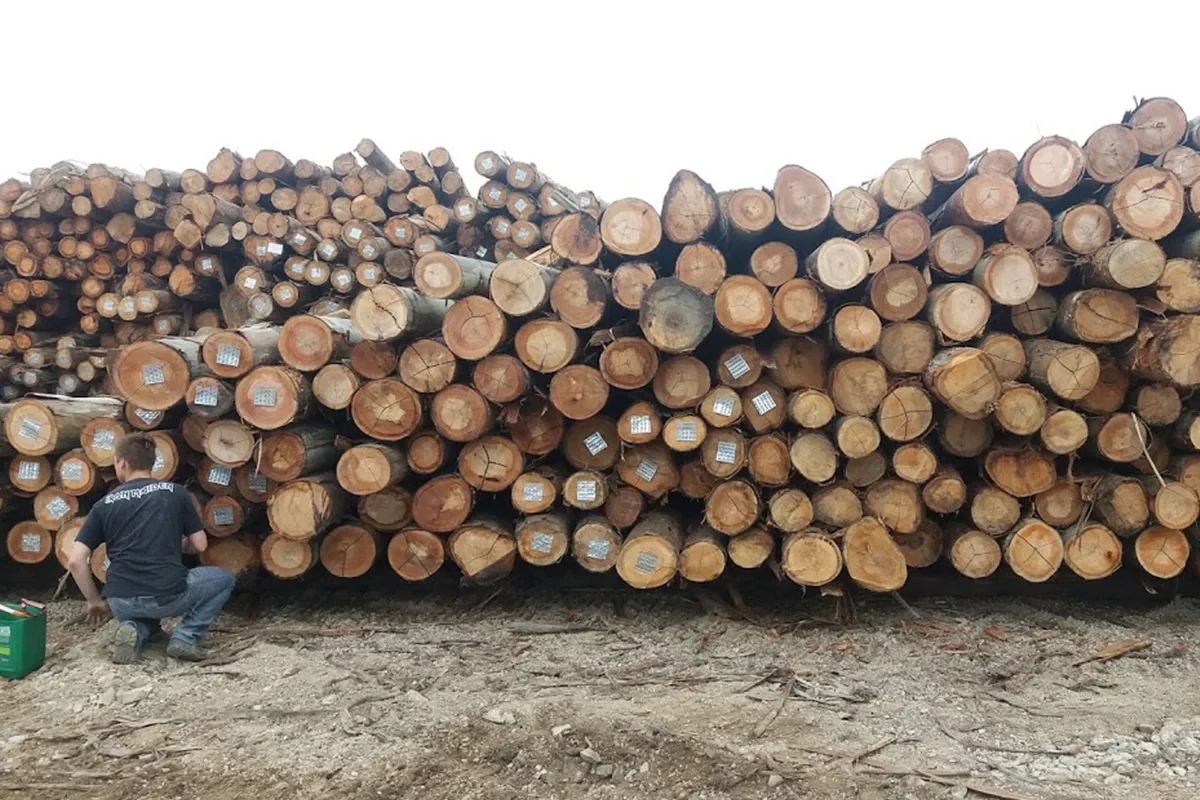 บริษัท เอ เจ ไม้อัด (ประเทศไทย) จำกัด