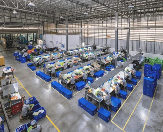 บริษัท ที.อาร์.วี. รับเบอร์ โปรดักส์ จำกัด (มหาชน)