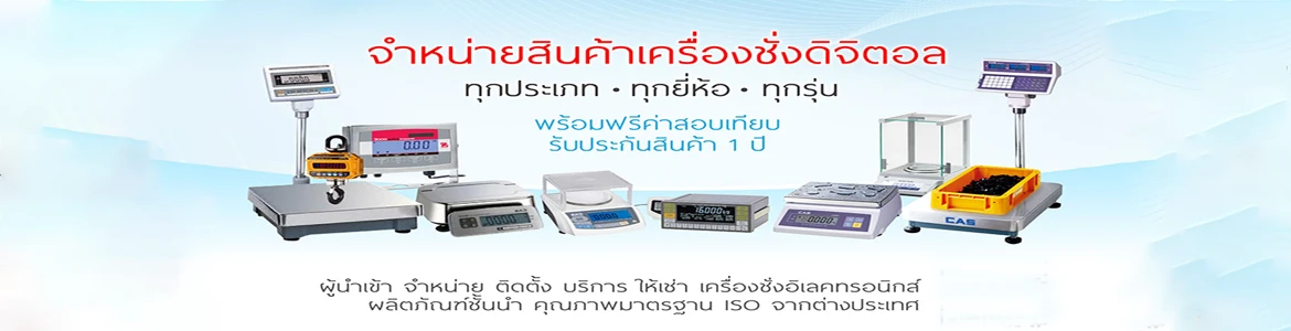 บริษัท ดิจิตอล สเกล และ เอ็นจิเนียริ่ง จำกัด