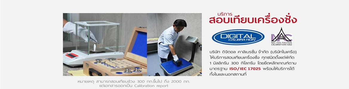 บริษัท ดิจิตอล สเกล และ เอ็นจิเนียริ่ง จำกัด