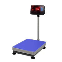 บริษัท ดิจิตอล สเกล และ เอ็นจิเนียริ่ง จำกัด