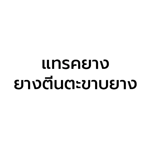 แทรคยาง ยางตีนตะขาบยาง - Company Logo