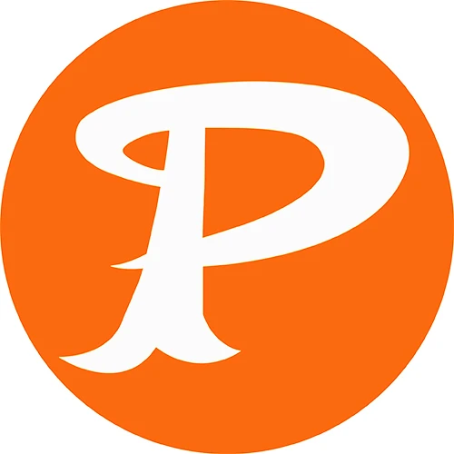 บริษัท แพนสยาม แมนูแฟคเจอริ่ง จำกัด - Company Logo