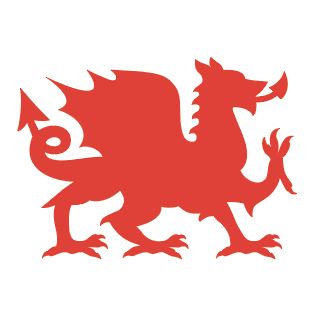 บริษัท ดรากอน คูเรียร์ จำกัด - Company Logo