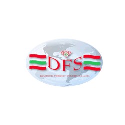 บริษัท ไดมอนด์ เฟรท ซิสเต็ม จำกัด - โลจิสติกส์ คลังสินค้า และการจัดส่ง