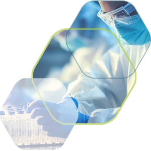 บริษัท เฮเดล เทคโนโลยีส์ (ประเทศไทย) จำกัด