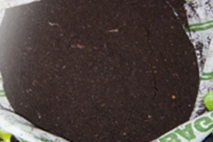 บริษัท เกษตรไทย อินเตอร์เนชั่นแนล ชูการ์ คอร์ปอเรชั่น จำกัด (มหาชน)