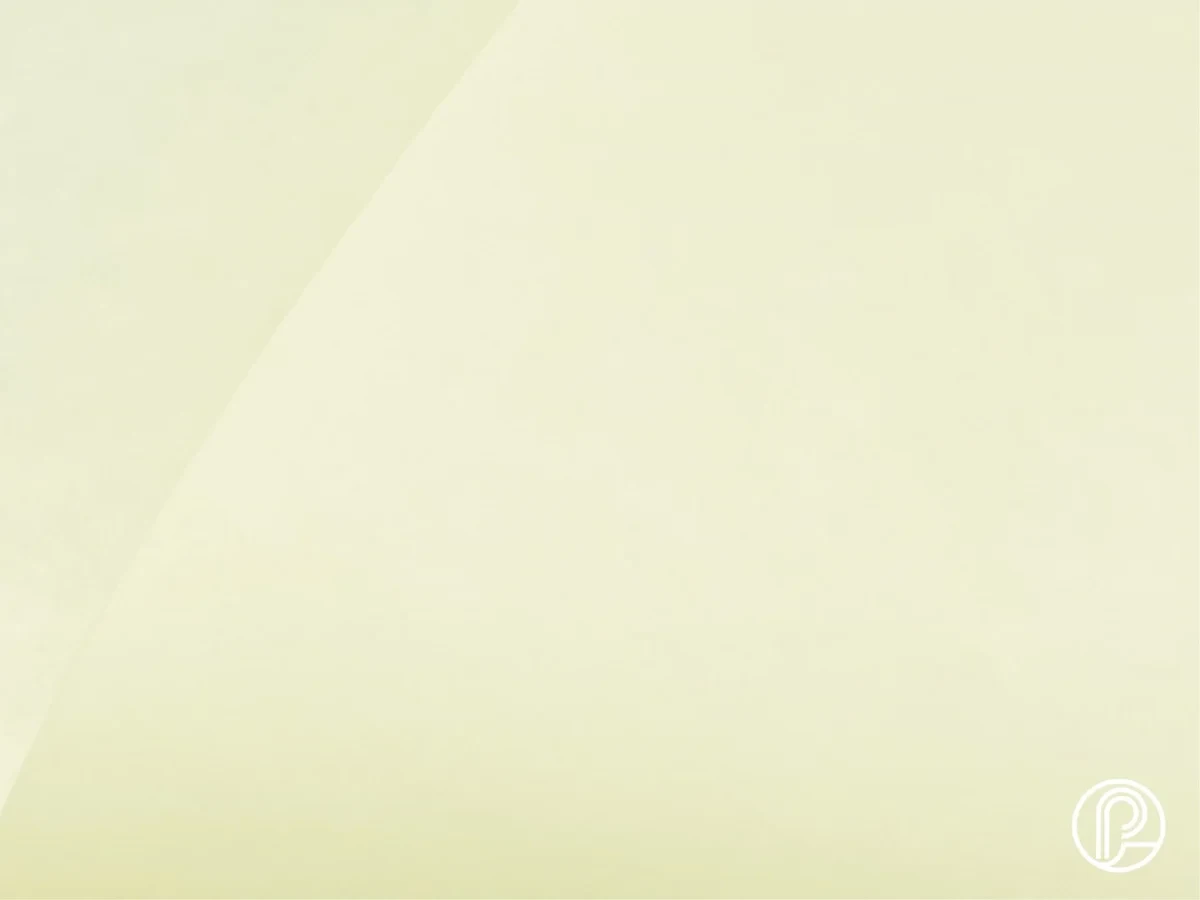 บริษัท เปเปอร์แลนด์ จำกัด