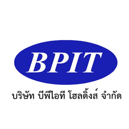 บริษัท บีพีไอที โฮลดิ้งส์ จำกัด