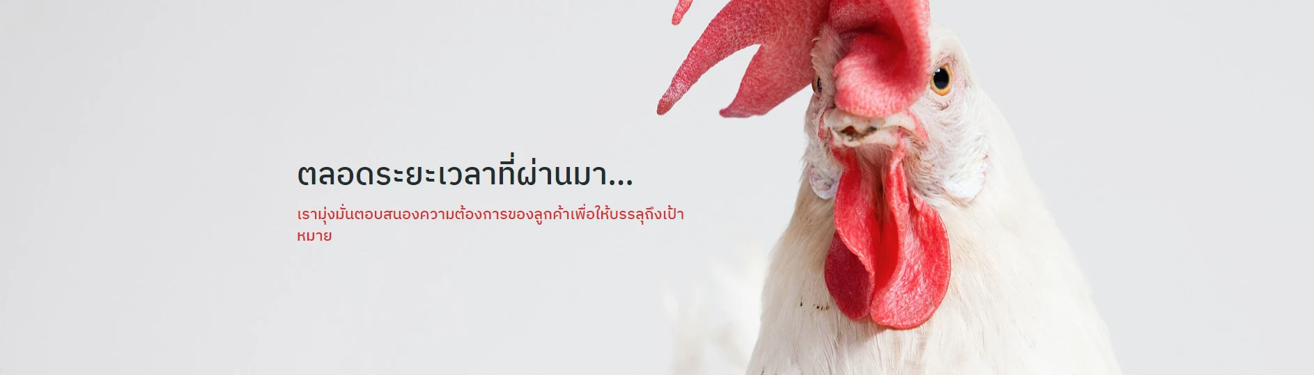 บริษัท แอนิมัล ซัพพลีเมนท์ แอนด์ ฟาร์มาซูติคอล จำกัด