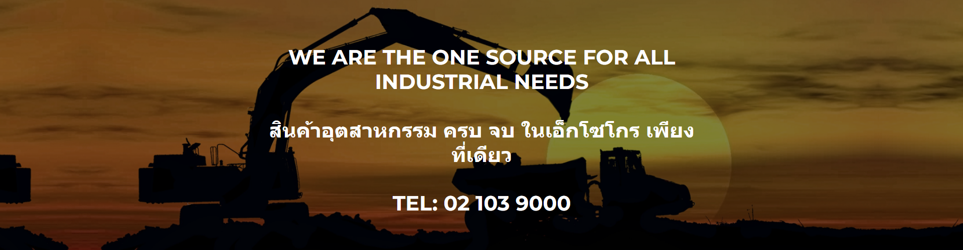 บริษัท เอ็กโซโกร จำกัด - Cover Image