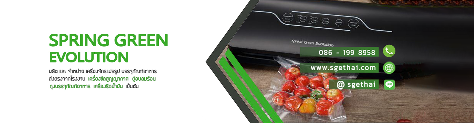 บริษัท สปริงกรีนอีโวลูชั่น จำกัด - Cover Image