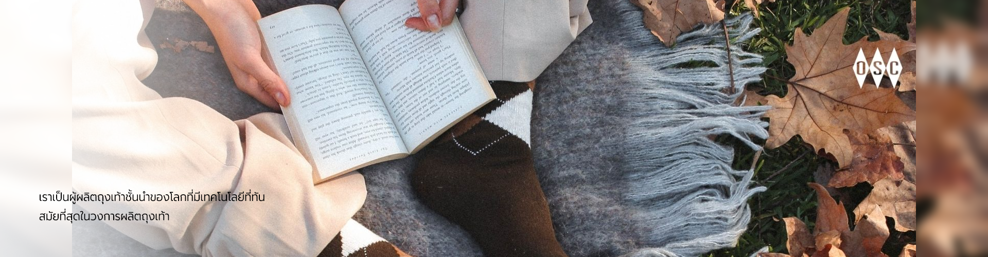 บริษัท โอเวอร์ซีส์ เรยอง อินดัสเตรียล จำกัด - Cover Image