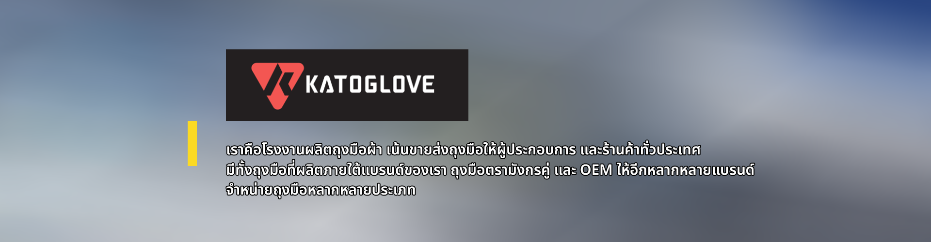 ห้างหุ้นส่วนจำกัด ถุงมือการ์โต้ - Cover Image